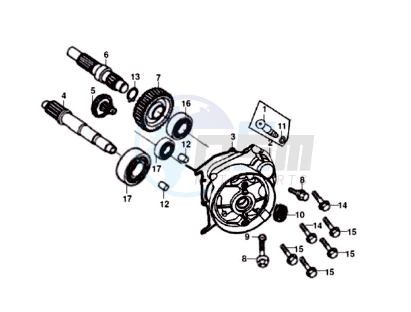 Transmission case-drive shaft blueprint