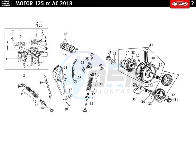 CAMSHAFT - CHAIN - CRANKSHAFT blueprint