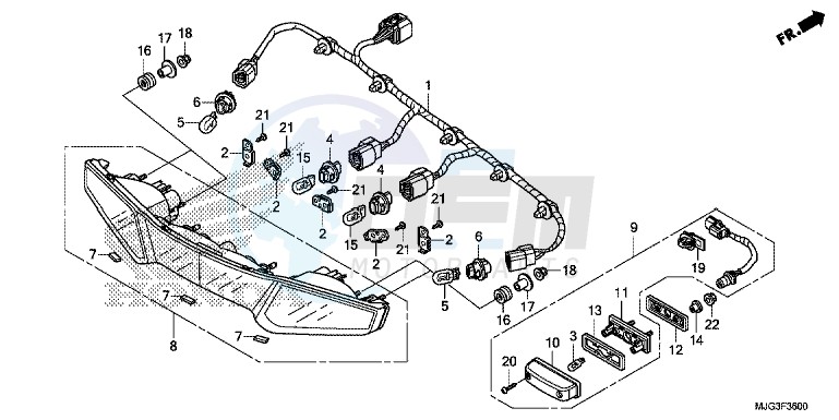 REAR COMBINATION LIGHT blueprint