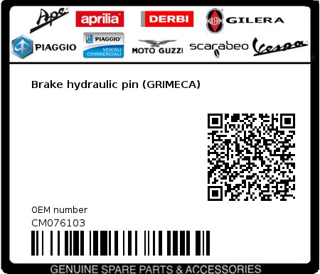 Product image: Gilera - CM076103 - Brake hydraulic pin (GRIMECA)  0
