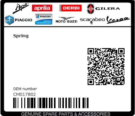 Product image: Vespa - CM017802 - Spring   0