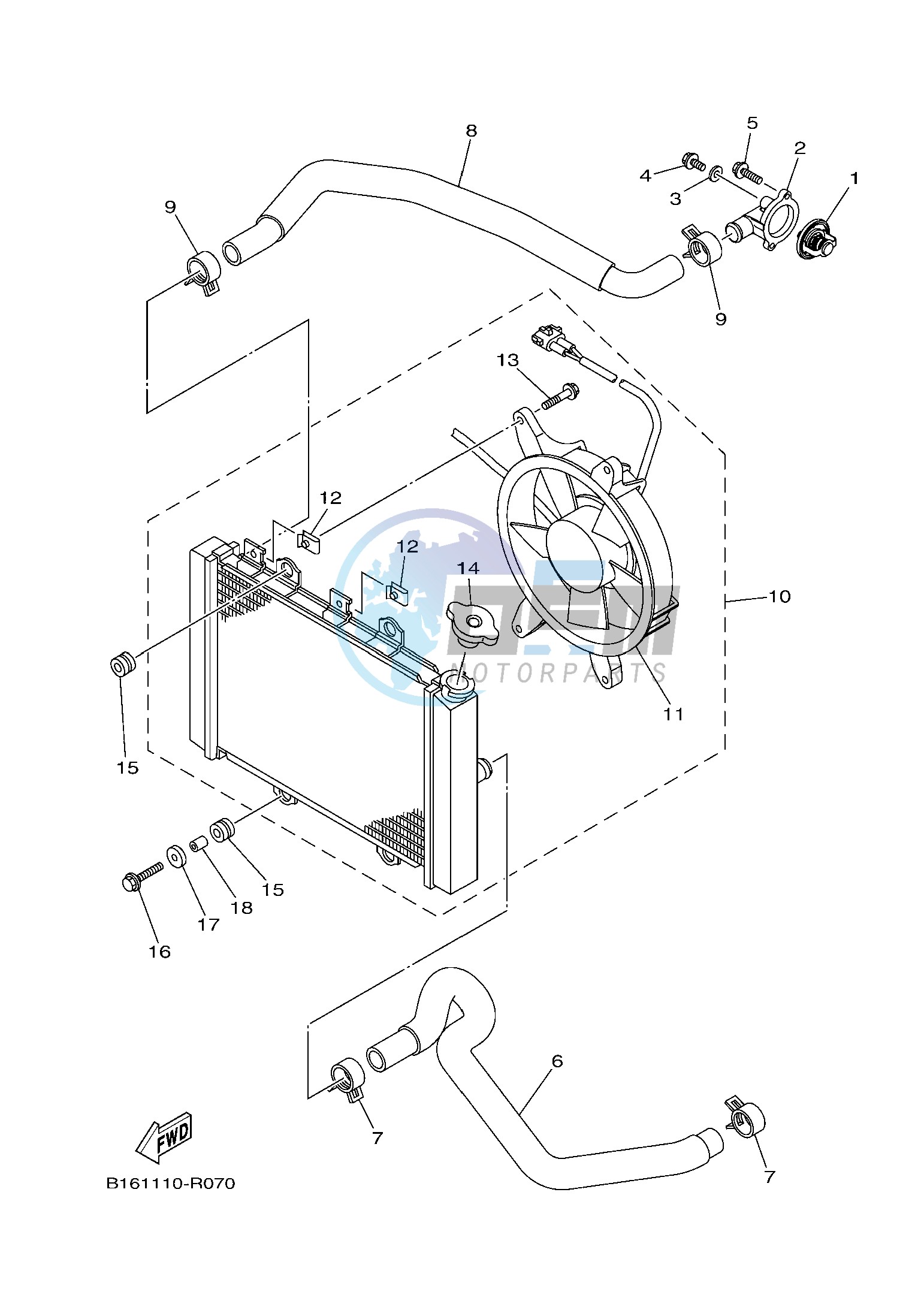 RADIATOR & HOSE