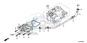 TRX420FA6F TRX420F Australia - (U) drawing WATER PUMP COVER