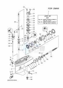 E60HMHDL drawing LOWER-CASING-x-DRIVE-2