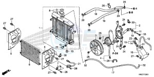 TRX500FAE TRX500FA Europe Direct - (ED) drawing RADIATOR