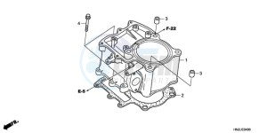 TRX500FAA Australia - (U) drawing CYLINDER