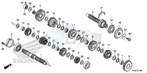 CB600FAD Hornet - CB600F ABS England - (3ED) drawing TRANSMISSION