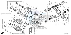 TRX500FA6H Europe Direct - (ED) drawing REAR KNUCKLE/REAR DRIVE SHAFT