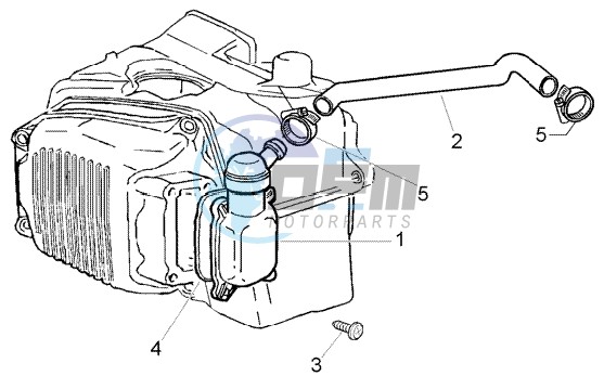 Oil drain valve