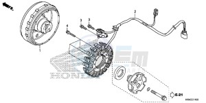 TRX500FE1G TRX500 Europe Direct - (ED) drawing GENERATOR