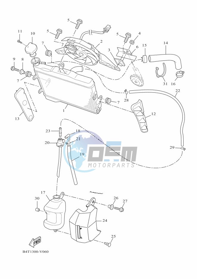 RADIATOR & HOSE