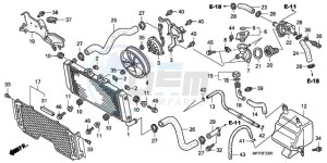 CB1300SA9 France - (F / ABS BCT CMF MME TWO) drawing RADIATOR (CB1300A/CB1300S A)