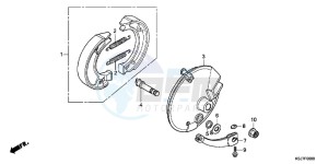 CRF100FD CRF100F Europe Direct - (ED) drawing FRONT BRAKE PANEL