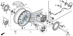 CBR1000RAG CBR1000 - Fireblade ABS Europe Direct - (ED) drawing REAR WHEEL