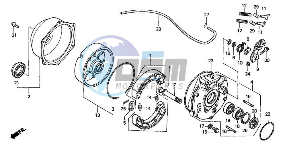 REAR BRAKE PANEL