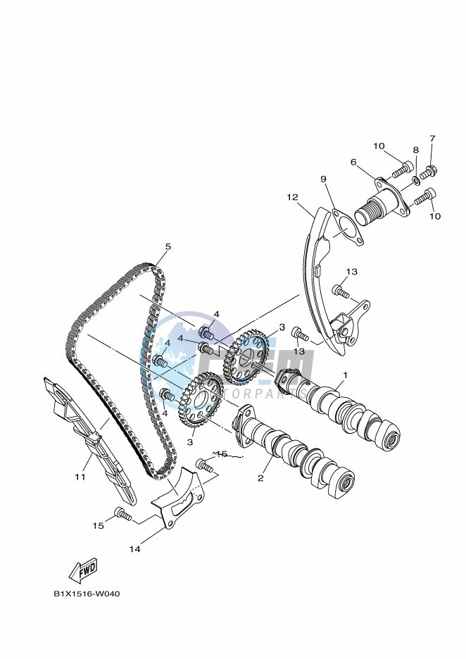 CAMSHAFT & CHAIN