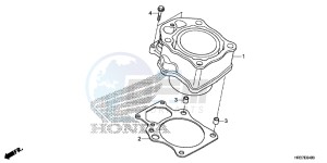 TRX420FM1G TRX420 Europe Direct - (ED) drawing CYLINDER