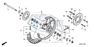 CRF150RB9 Europe Direct - (ED / T19) drawing REAR WHEEL