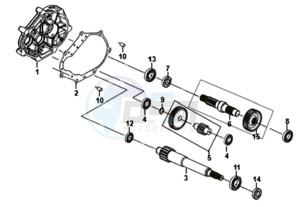 MIO 50I 25KMH (L8) NL EURO4 drawing DRIVESHAFTS