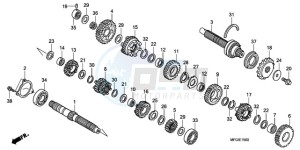 CB600F3A Australia - (U / ST) drawing TRANSMISSION