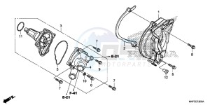 CBR1000S2 2ED - (2ED) drawing WATER PUMP