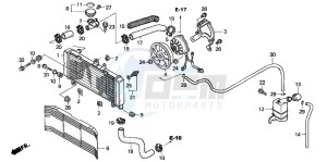 CBF600SA drawing RADIATOR (CBF600N/NA)