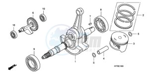 TRX420FPA9 Australia - (U) drawing CRANK SHAFT/PISTON