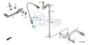 CBR1000RA9 France - (F / ABS CMF) drawing PEDAL