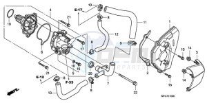 CB600FA39 Spain - (SP / ABS ST 25K) drawing WATER PUMP