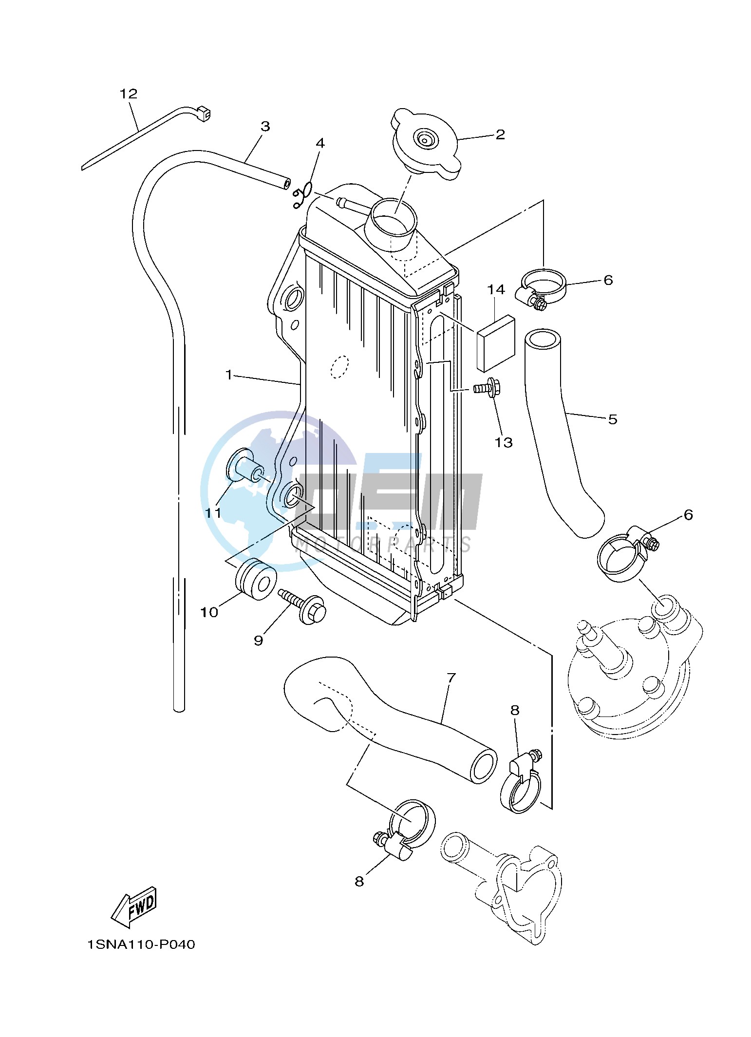 RADIATOR & HOSE