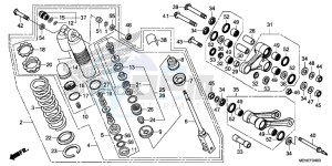 CRF450RE CRF450R Europe Direct - (ED) drawing REAR CUSHION