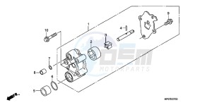 TRX500FEB drawing OIL PUMP