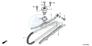 NSC50WHC drawing CAM CHAIN/TENSIONER