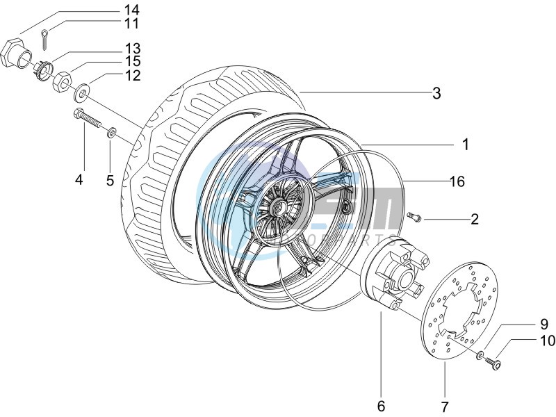 Rear Wheel