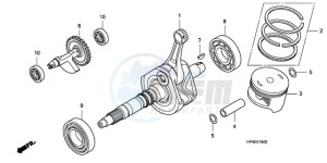 TRX420FPM9 U / 4WD drawing CRANK SHAFT/PISTON