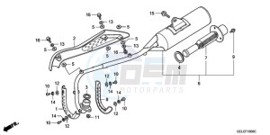 CRF50F9 Europe Direct - (ED) drawing EXHAUST MUFFLER