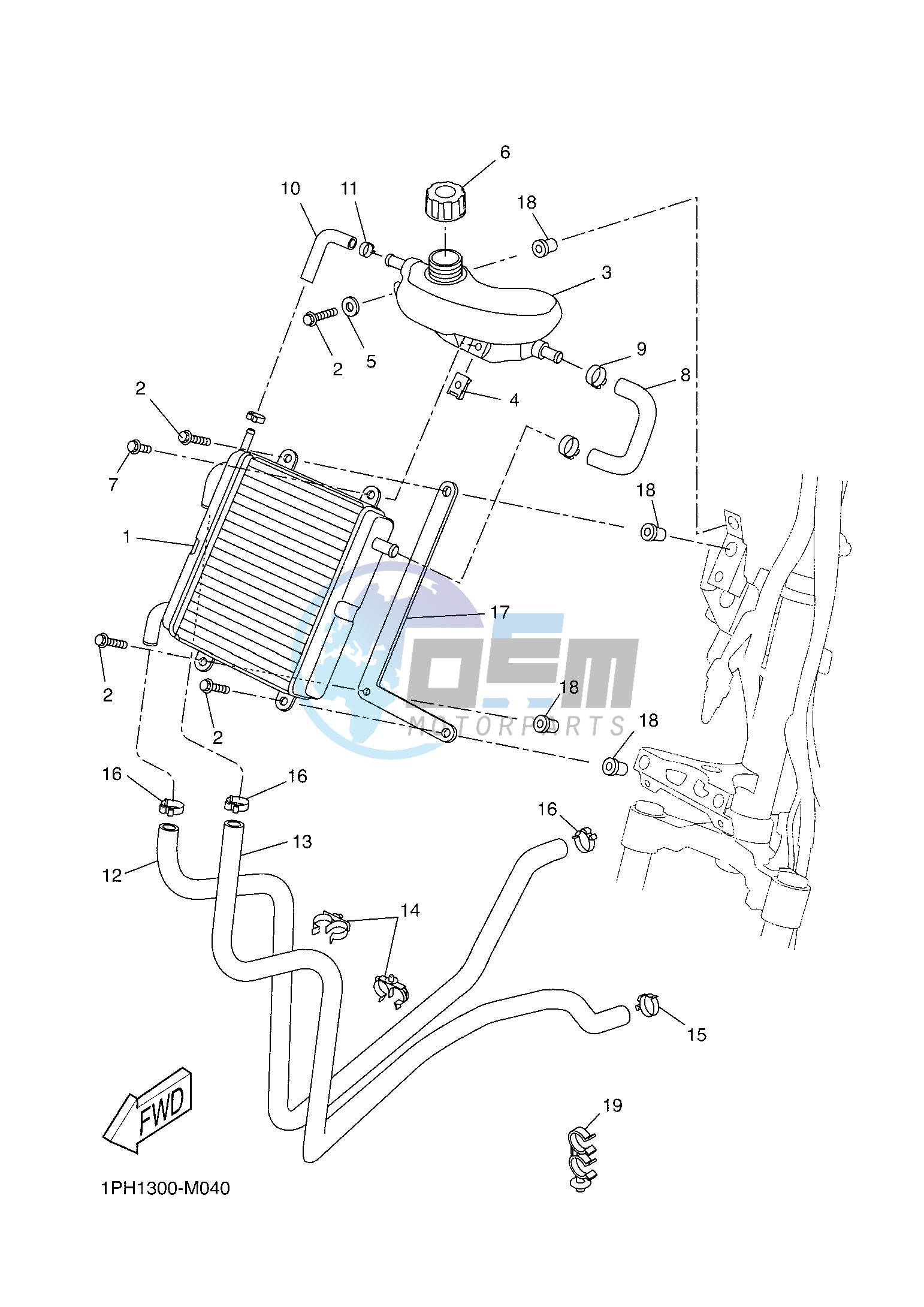 RADIATOR & HOSE