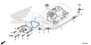 TRX420FE1F TRX420 Europe Direct - (ED) drawing WATER PUMP COVER