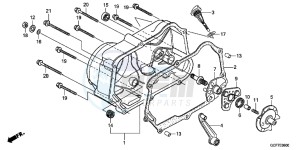 CRF70FC drawing RIGHT CRANKCASE COVER