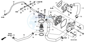 VFR1200FDC VFR1200F Dual Clutch E drawing WATER PUMP