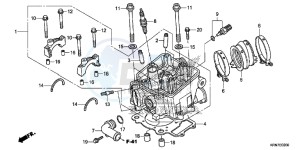 CRF250RF CRF250R Europe Direct - (ED) drawing CYLINDER HEAD