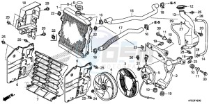 TRX420TE1E TRX420 ED drawing RADIATOR