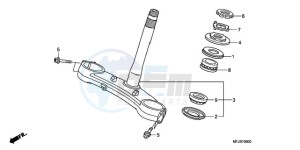 CBR600RRA Australia - (U) drawing STEERING STEM