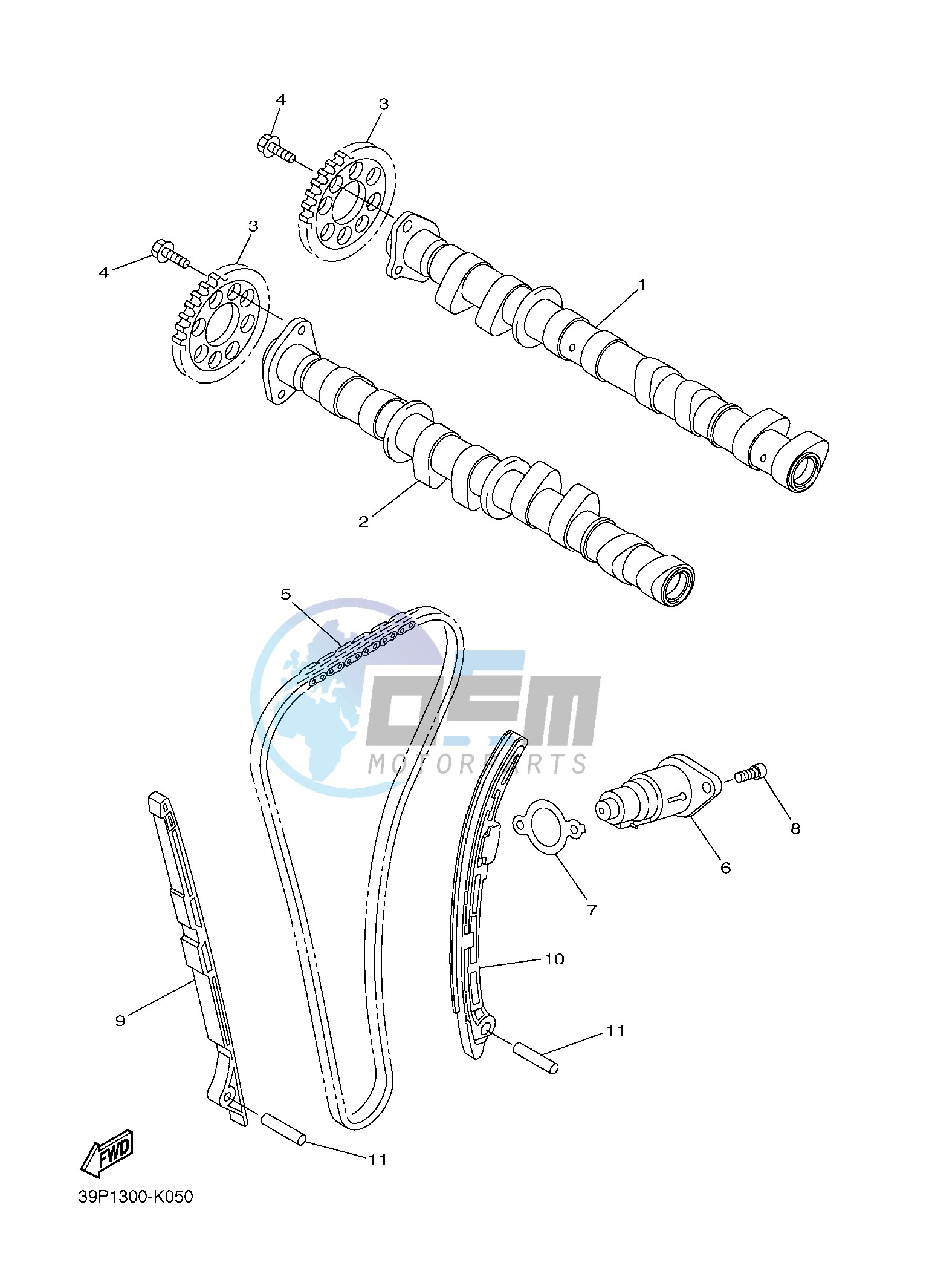 CAMSHAFT & CHAIN