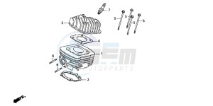 SH50 SCOOPY drawing CYLINDER/CYLINDER HEAD