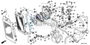 VT750C2SE Shadow - VT750C2S-E UK - (E) drawing RADIATOR (VT750CS/ C2B/ C2S/ C)