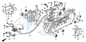 SFX50 drawing CRANKCASE/OIL PUMP