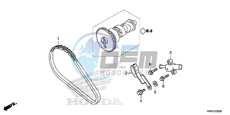 CAM CHAIN/TENSIONER