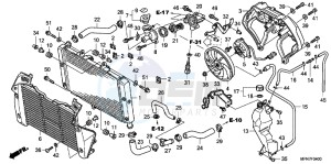 CB1000RC drawing RADIATOR