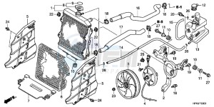 NC750SAH 2ED - (2ED) drawing RADIATOR